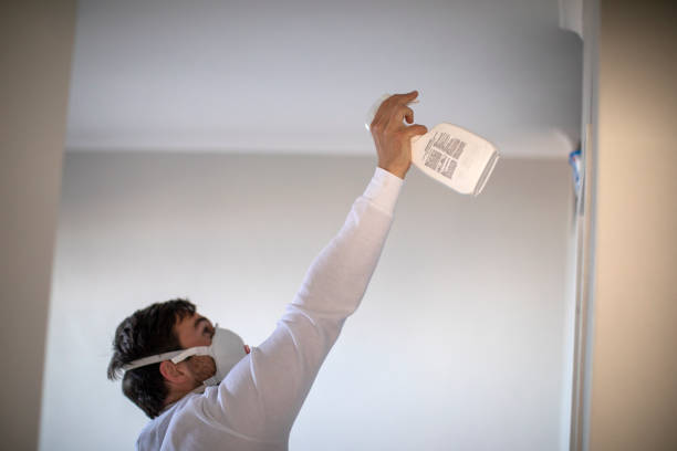 Best Post-Flood Mold Remediation in Pumpkin Center, NC